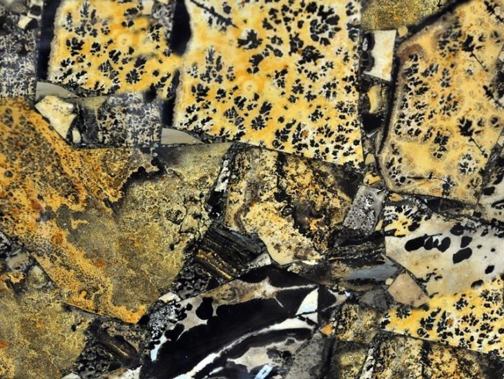 Yellow Fossil Semi Precious Stone Slab