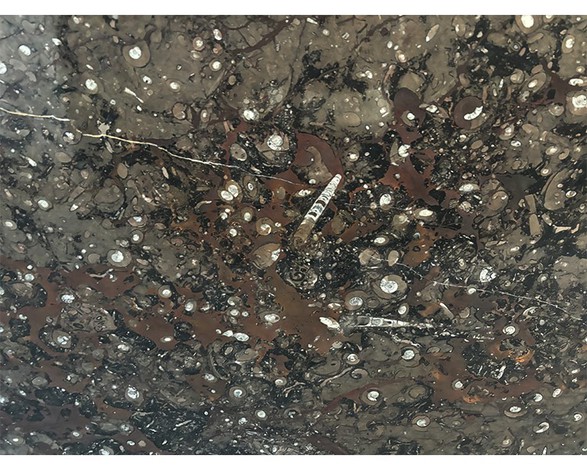 brown marble brown marble